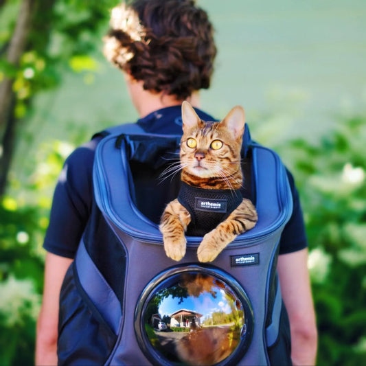 Pet Travel Backpack